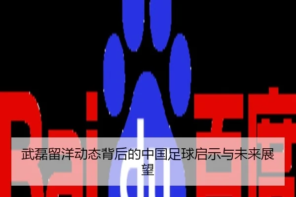 武磊留洋动态背后的中国足球启示与未来展望